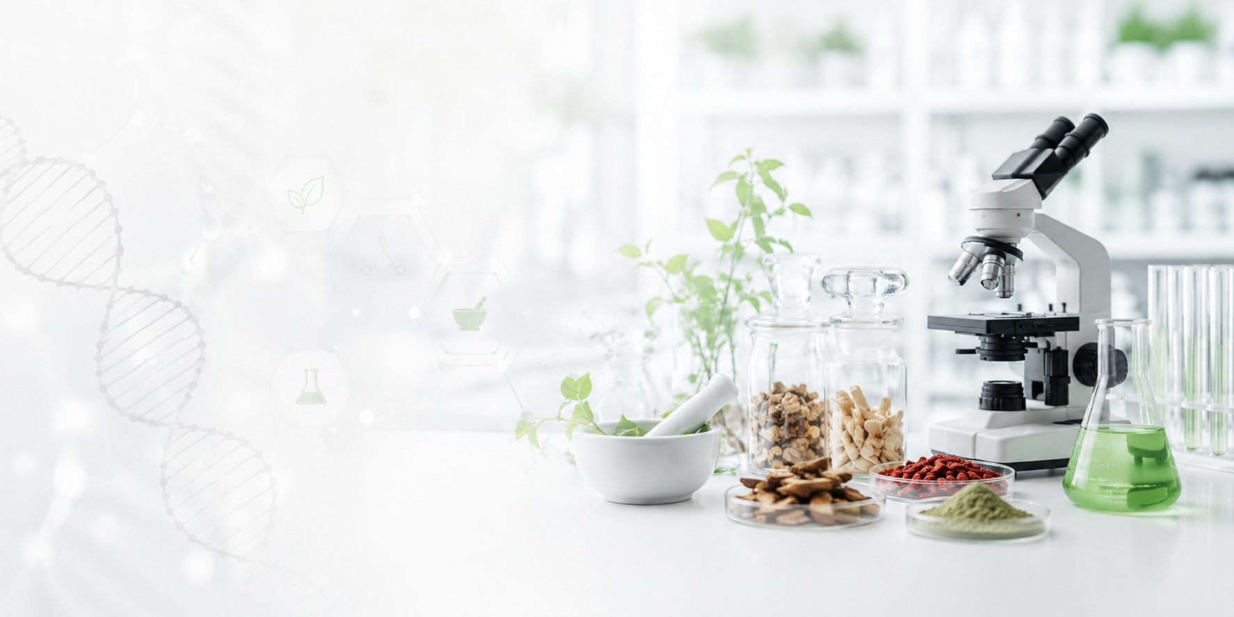 Traditional Herbal
Solution
For Everyday Wellness